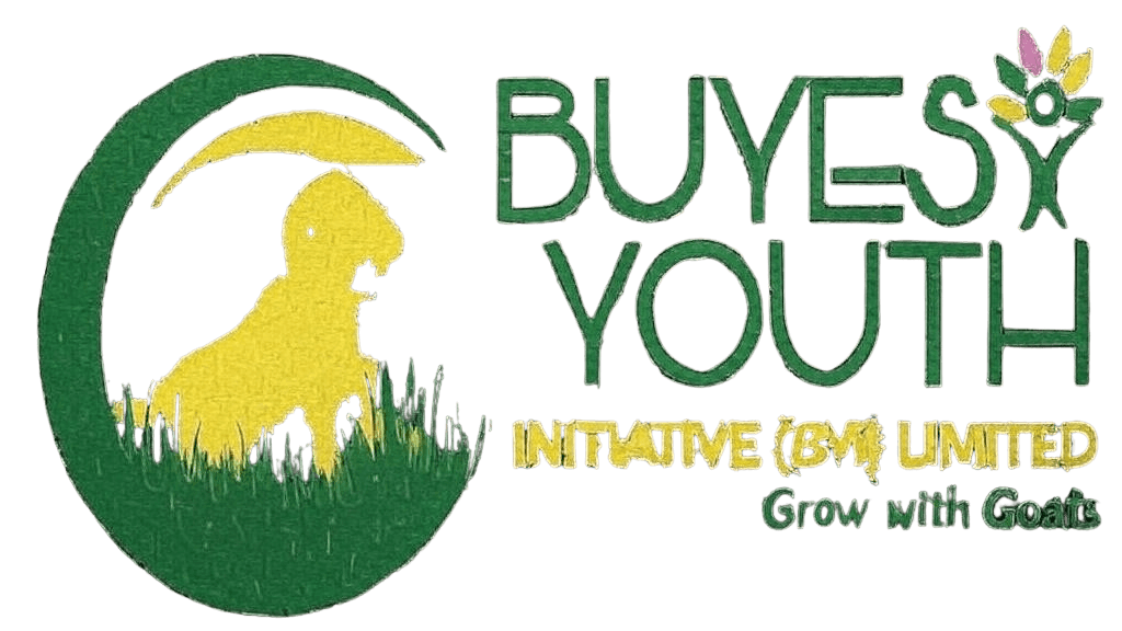 Buyesi Youth Initiative